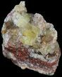 Lustrous, Yellow Cubic Fluorite Crystals - Morocco #44875-1